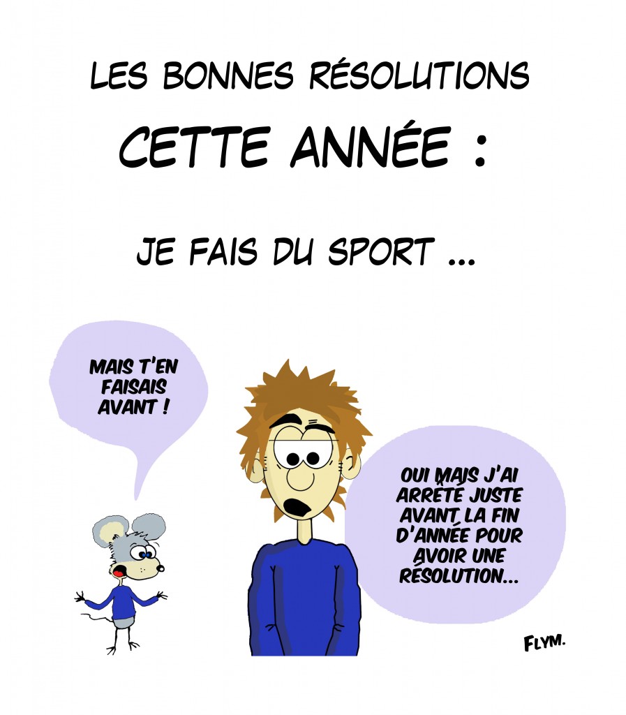 bonnes résolutions pour 2015 ? alors cette année - Humour - chez Marithé