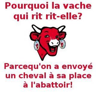 http://blog.marithe.fr/V/vachequirit.jpg